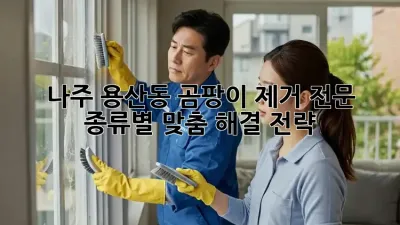 나주 용산동 곰팡이 제거 전문: 종류별 맞춤 해결 전략